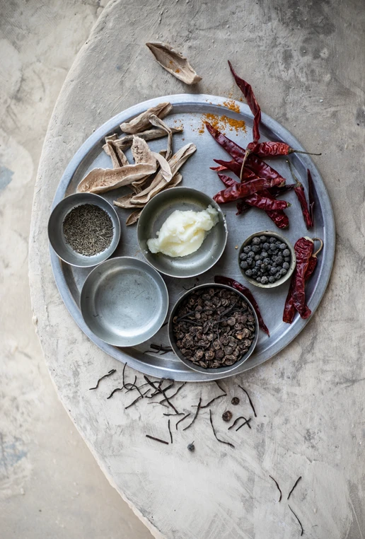 Red chili indian spices mukunda food shekhawati